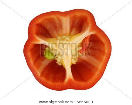Poivron bulgare