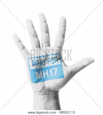 Open Hand Raised, Pray For Mh17 Sign Painted, Multi Purpose Concept - Isolated On White Background