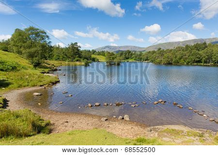 Tarn Hows Lake District National Park Cumbria England uk