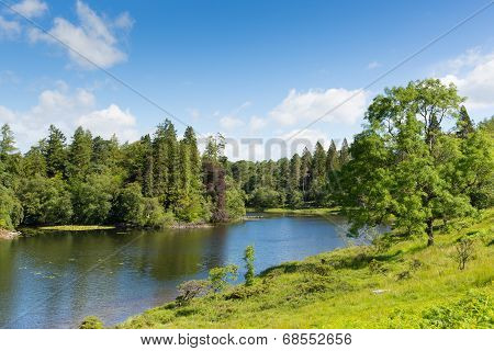 Tarn Hows Lake District National Park Cumbria England uk