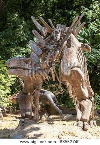 Fossil Of Dinosaur