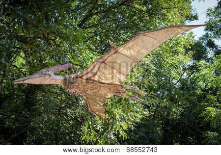 Realistic Model Of Dinosaur - Pteranodon