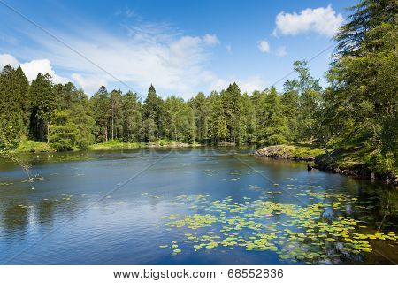 Tarn Hows Lake District National Park Cumbria England uk