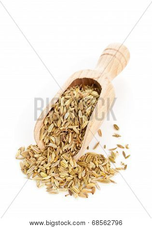 Fennel Seeds On Wooden Scoop