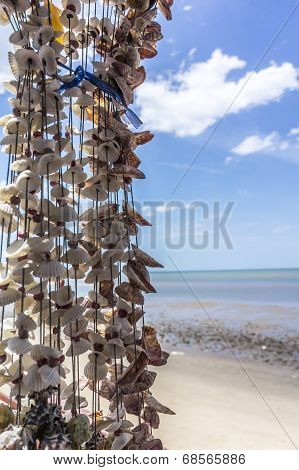 Natural Summer Beach