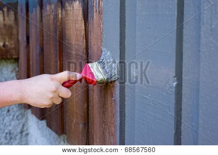 Painting House Facade, Exterior