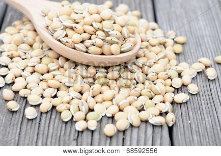 Lablab Purpureus Bean