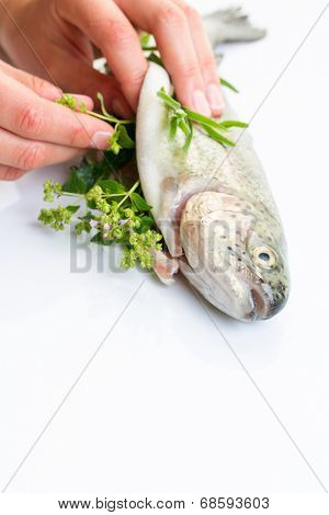 Female chef's hands stuffing a freshly cought trout with fresh herbs