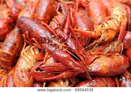Boiled Craw Fish