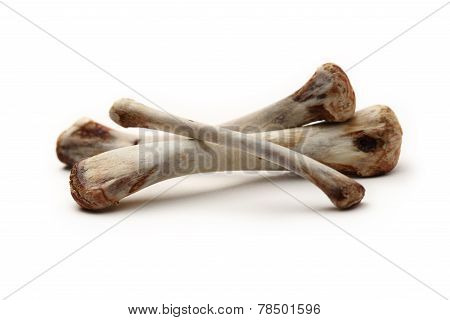 Chicken Bones On White Background