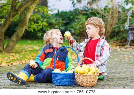 Two Funny Little Boys Feeding Each Other With Apple