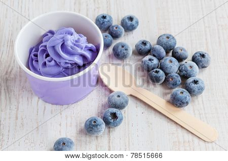 Frozen Creamy Ice Yoghurt  With Whole Blueberries