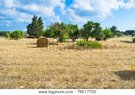 The Landscape