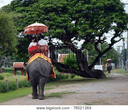 elephant riding