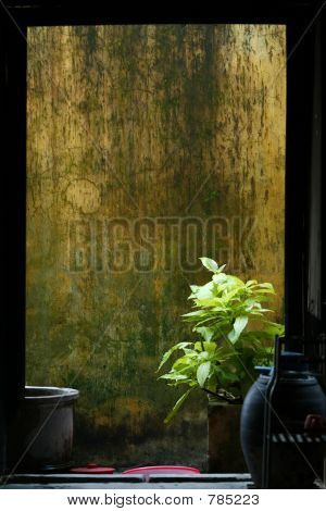 casacantonese