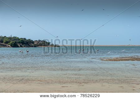 Souss Masa National Park