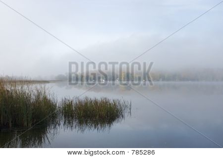 Misty See 