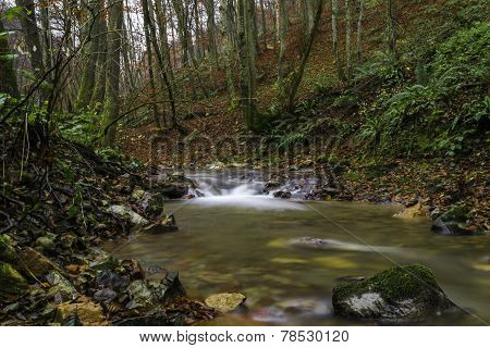 Autumn Forest River