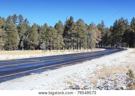 Arizona Road