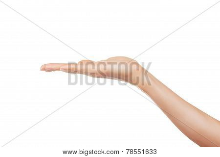 Open A Woman's Hand