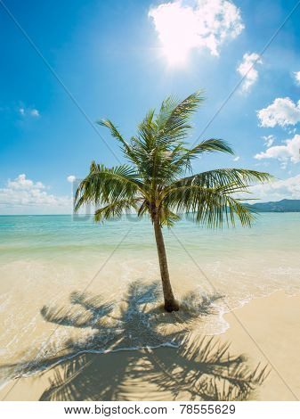 Tropical beach of Chaweng on Koh Samui island in Thailand