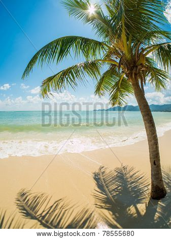 Tropical beach of Chaweng on Koh Samui island in Thailand