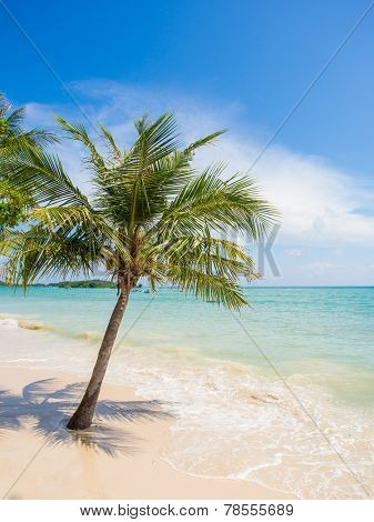 Tropical beach of Chaweng on Koh Samui island in Thailand