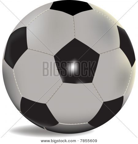 Pallone da calcio