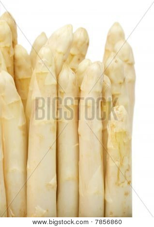 Asperges wit geïsoleerd