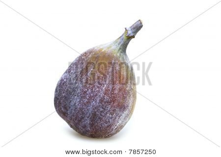 Fig en blanco