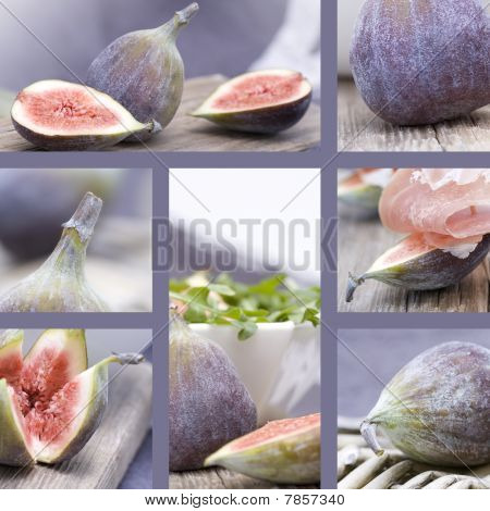 Figner Collage