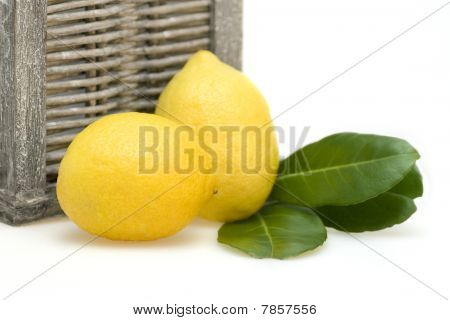 Limoni con Leafes e cesto di vimini