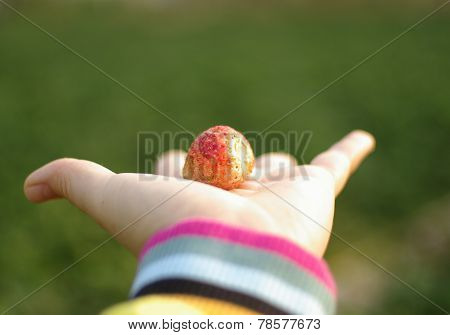 Strawberry in hand. Handpicked strawberries fresh from the farm