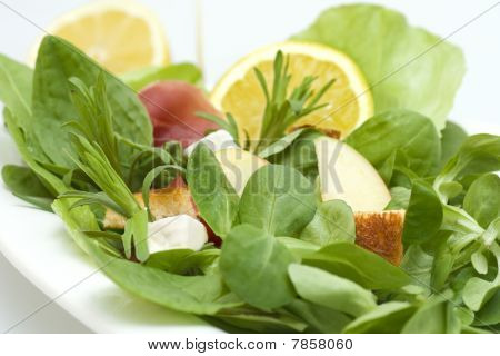 Salat close up