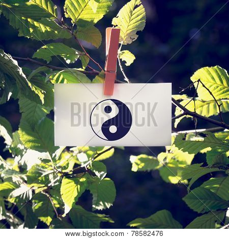 Yin And Yang Symbol On A White Card Hanging From A Leafy Green Branch