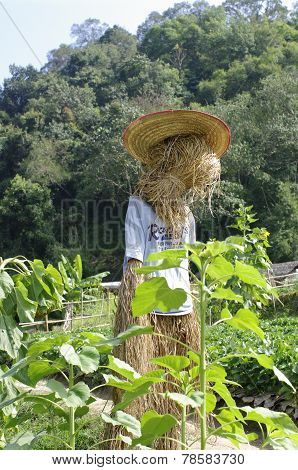 Scarecrow, Straw Man At The Farm