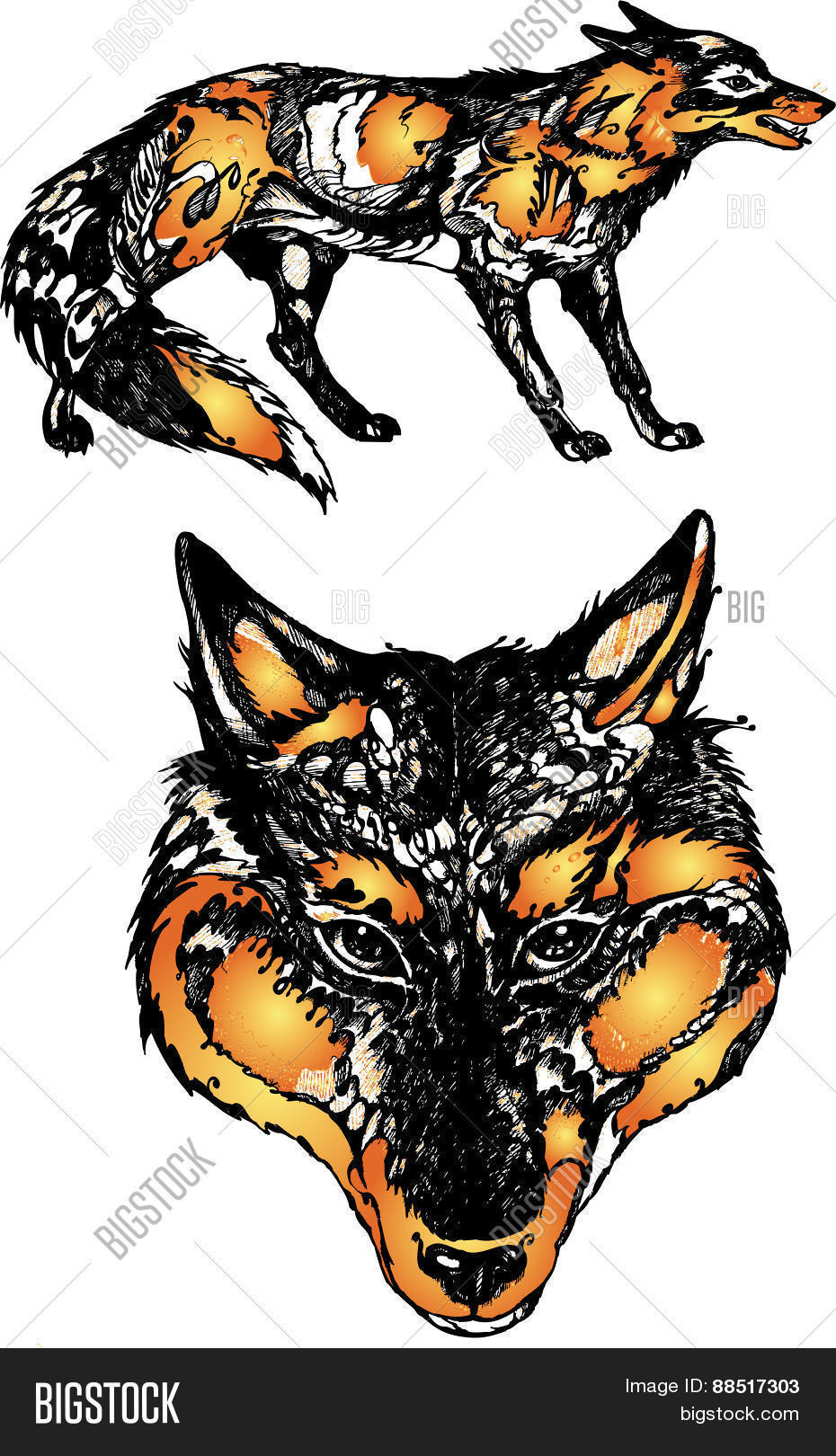 Image Preview