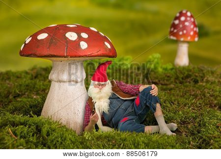 Lazy garden gnome sitting under a toadstool