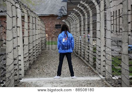 International Holocaust Remembrance Day