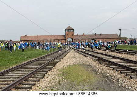 International Holocaust Remembrance Day
