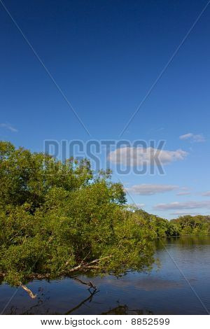 Rock klippe State Park - Illinois