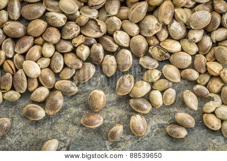 close up background of unshelled hemp seeds on a slate stone