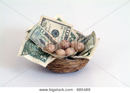 Nest Egg