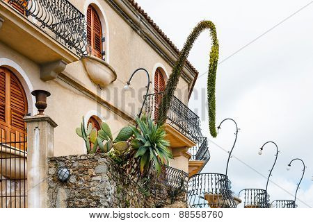 Agave And Opuntia Cactus In Flower Beds Near House