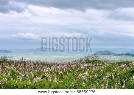 Sicilian Landscape In Rainy Spring Day
