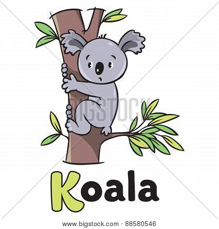 Children vector illustration of funny koala. Alphabet K