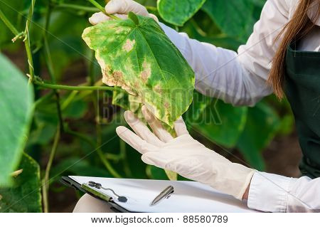 Bio researcher with clipboard
