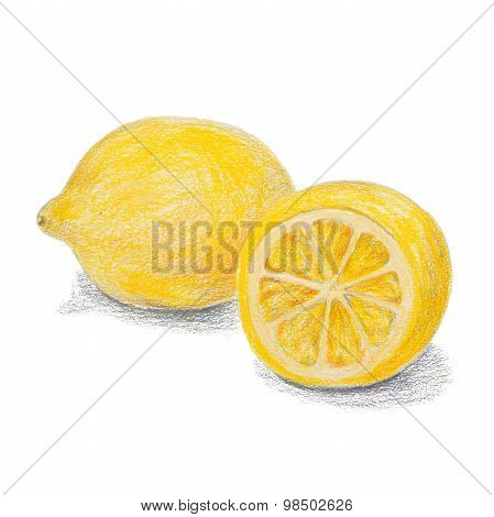 Hand drawn colored pencils lemon sketch with shadow