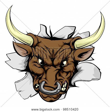 Bull Charging Through Wall
