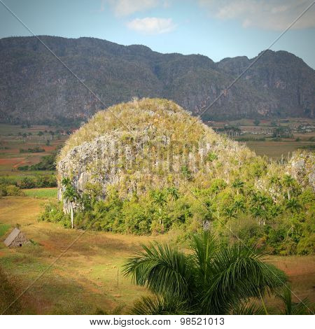 Cuba - Karstic Landscape